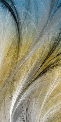 Fountain Grass IV White Modern Wood Framed Art Print with Double Matting by Burghardt, James