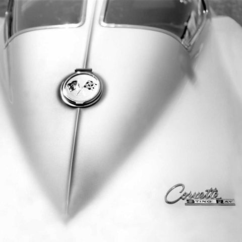 63 Split Window White Modern Wood Framed Art Print with Double Matting by Stein, Daniel