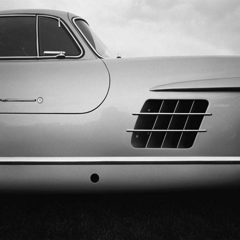 53 Gull Wing Black Modern Wood Framed Art Print with Double Matting by Stein, Daniel