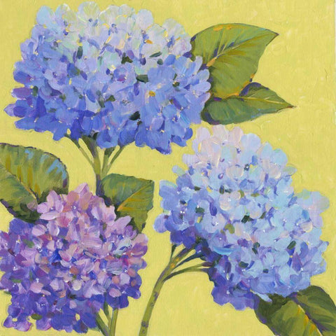 Spring Hydrangeas II Black Modern Wood Framed Art Print by OToole, Tim