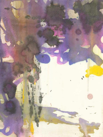 Watery Echo Black Ornate Wood Framed Art Print with Double Matting by Fuchs, Jodi