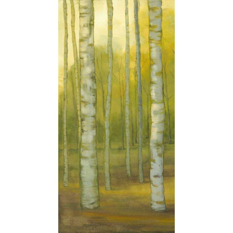Sunny Birch Grove I Black Modern Wood Framed Art Print with Double Matting by Joy, Julie