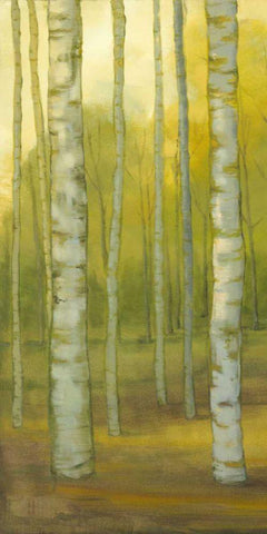 Sunny Birch Grove I Black Ornate Wood Framed Art Print with Double Matting by Joy, Julie