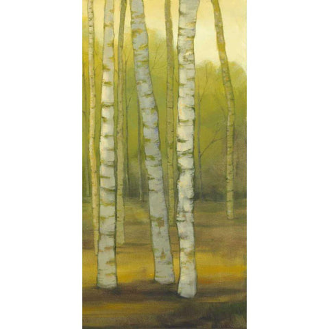 Sunny Birch Grove II Black Modern Wood Framed Art Print with Double Matting by Joy, Julie