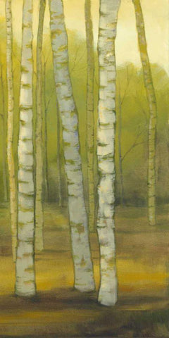 Sunny Birch Grove II White Modern Wood Framed Art Print with Double Matting by Joy, Julie