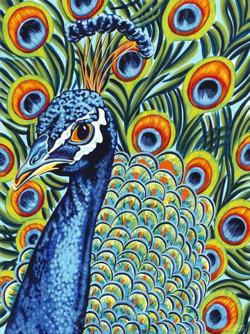 Plumed Peacock I Black Ornate Wood Framed Art Print with Double Matting by Vitaletti, Carolee