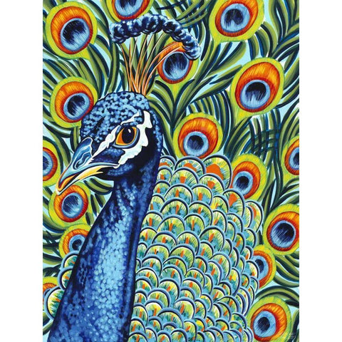 Plumed Peacock I Black Modern Wood Framed Art Print with Double Matting by Vitaletti, Carolee