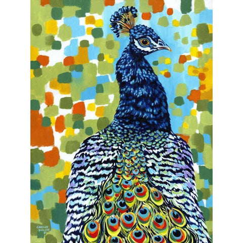 Plumed Peacock II Gold Ornate Wood Framed Art Print with Double Matting by Vitaletti, Carolee