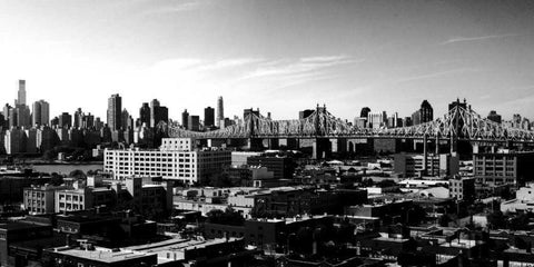 Panorama of NYC II Black Ornate Wood Framed Art Print with Double Matting by Pica, Jeff