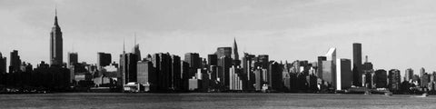Panorama of NYC VIII Black Ornate Wood Framed Art Print with Double Matting by Pica, Jeff