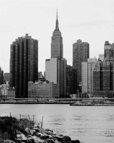 NYC Skyline III Black Ornate Wood Framed Art Print with Double Matting by Pica, Jeff