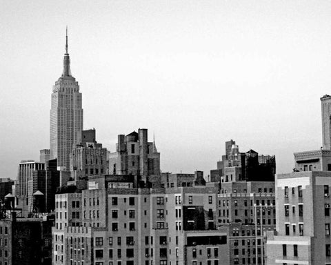 NYC Skyline VI Black Ornate Wood Framed Art Print with Double Matting by Pica, Jeff