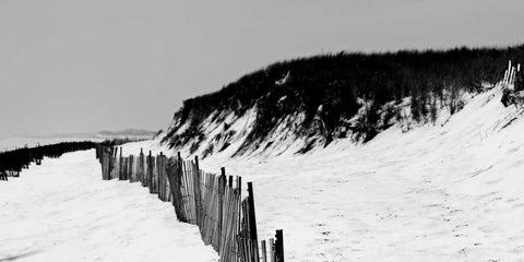 Shore Panorama I Black Ornate Wood Framed Art Print with Double Matting by Pica, Jeff