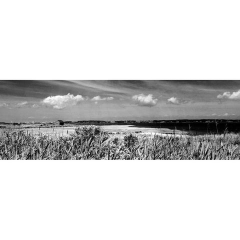 Shore Panorama III Gold Ornate Wood Framed Art Print with Double Matting by Pica, Jeff