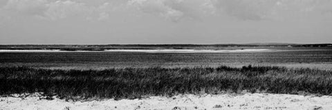 Shore Panorama IV White Modern Wood Framed Art Print with Double Matting by Pica, Jeff