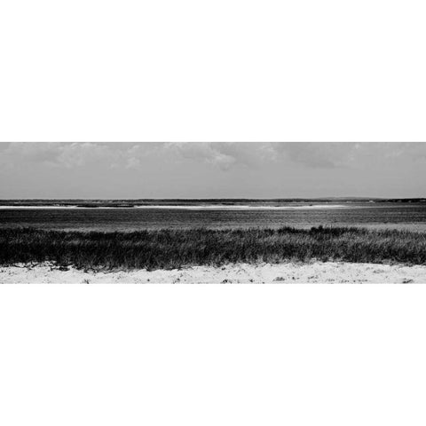 Shore Panorama IV Black Modern Wood Framed Art Print by Pica, Jeff