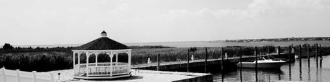 Shore Panorama V Black Ornate Wood Framed Art Print with Double Matting by Pica, Jeff