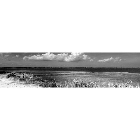 Shore Panorama VII Black Modern Wood Framed Art Print with Double Matting by Pica, Jeff