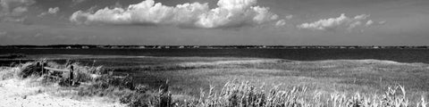 Shore Panorama VII Black Ornate Wood Framed Art Print with Double Matting by Pica, Jeff