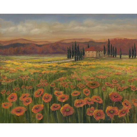 Poppy Path to Home I Black Modern Wood Framed Art Print with Double Matting by Joy, Julie