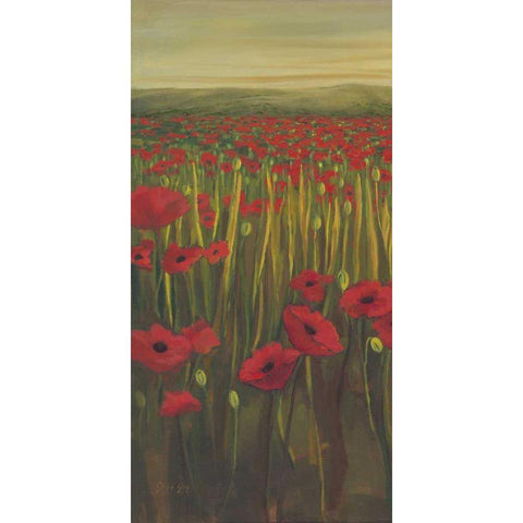 Red Poppies in Field I Black Modern Wood Framed Art Print with Double Matting by Joy, Julie