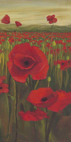 Red Poppies in Field II White Modern Wood Framed Art Print with Double Matting by Joy, Julie
