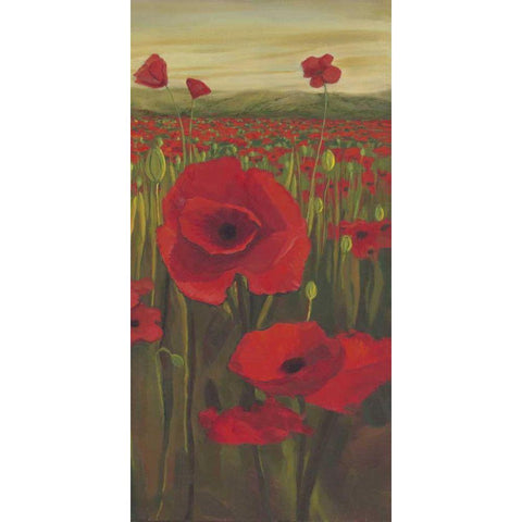 Red Poppies in Field II White Modern Wood Framed Art Print by Joy, Julie
