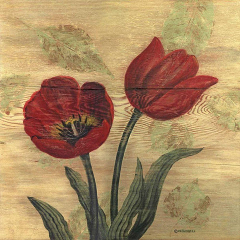 Tulip on Wood Black Ornate Wood Framed Art Print with Double Matting by Russell, Wendy