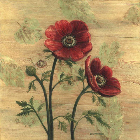 Anemone on Wood Black Modern Wood Framed Art Print with Double Matting by Russell, Wendy
