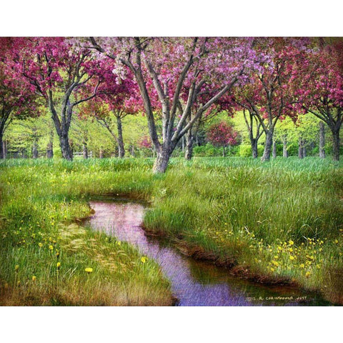 Summer Spring Black Modern Wood Framed Art Print with Double Matting by Vest, Chris