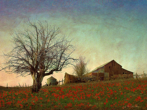 Barn on the Hill Black Ornate Wood Framed Art Print with Double Matting by Vest, Chris