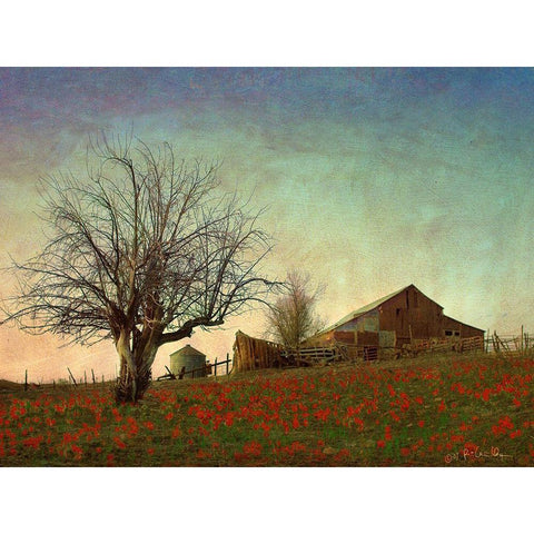 Barn on the Hill Black Modern Wood Framed Art Print with Double Matting by Vest, Chris