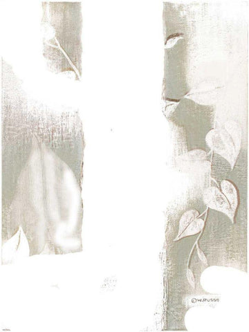 Spa Silhouette IV White Modern Wood Framed Art Print with Double Matting by Russell, Wendy