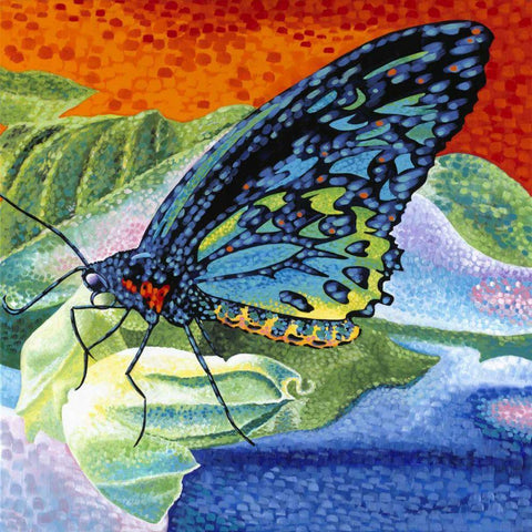 Poised Butterfly II White Modern Wood Framed Art Print with Double Matting by Vitaletti, Carolee