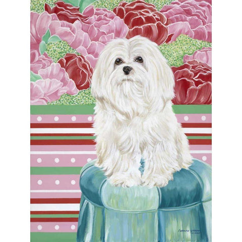 Della Rose Maltese White Modern Wood Framed Art Print by Vitaletti, Carolee