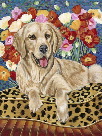 Golden Boy Retriever White Modern Wood Framed Art Print with Double Matting by Vitaletti, Carolee