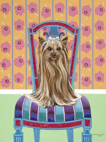 Crown Princess Yorkie White Modern Wood Framed Art Print with Double Matting by Vitaletti, Carolee