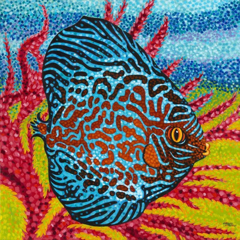 Brilliant Tropical Fish II White Modern Wood Framed Art Print with Double Matting by Vitaletti, Carolee