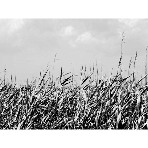 Dune Triptych II Black Modern Wood Framed Art Print by Pica, Jeff