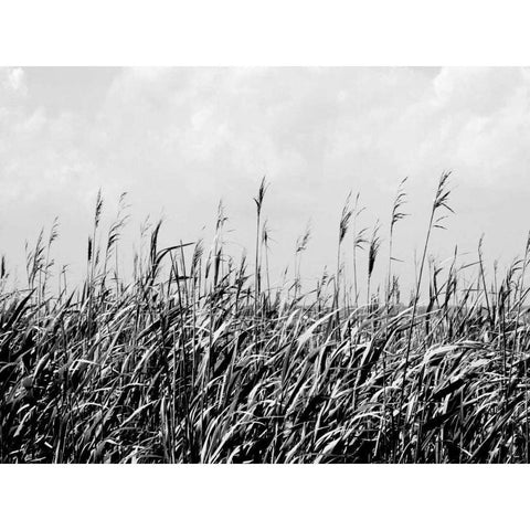 Dune Triptych III Black Modern Wood Framed Art Print by Pica, Jeff