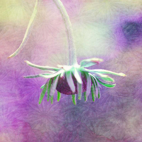 Waiting on Purple VI White Modern Wood Framed Art Print with Double Matting by Jorgensen, Jennifer