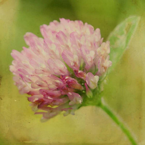 Waiting on Purple VII Gold Ornate Wood Framed Art Print with Double Matting by Jorgensen, Jennifer