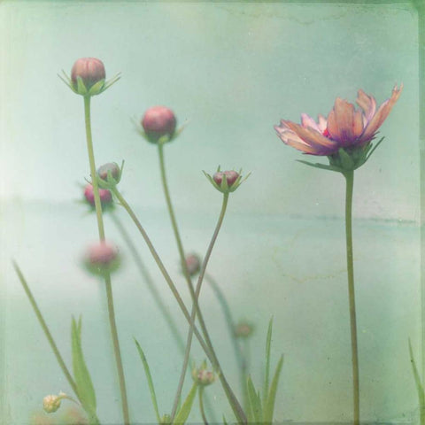 Waiting on Purple VIII Gold Ornate Wood Framed Art Print with Double Matting by Jorgensen, Jennifer