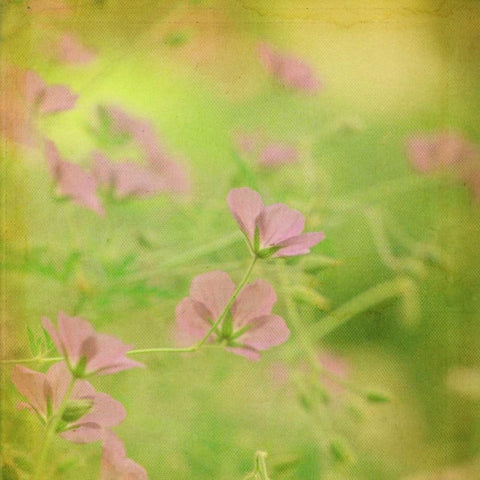 Waiting on Purple IX White Modern Wood Framed Art Print by Jorgensen, Jennifer