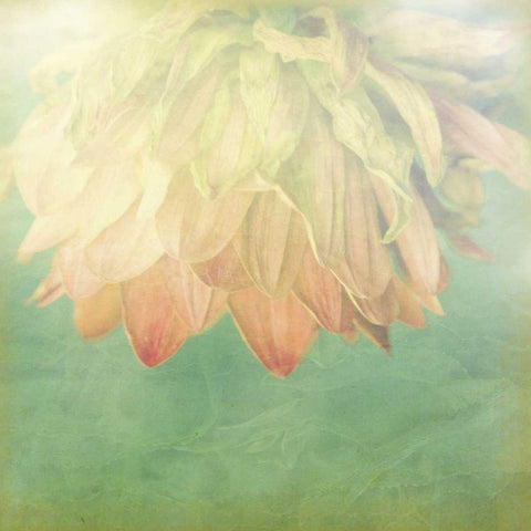 Pastel Paths II Gold Ornate Wood Framed Art Print with Double Matting by Jorgensen, Jennifer