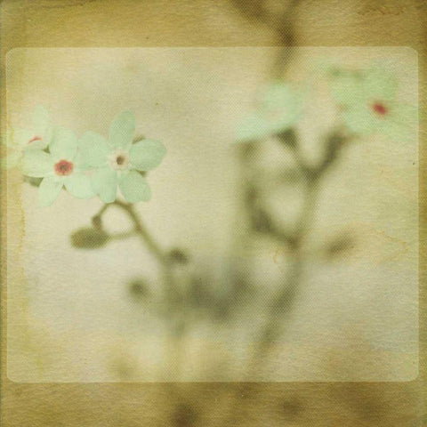 Pastel Paths XI White Modern Wood Framed Art Print by Jorgensen, Jennifer