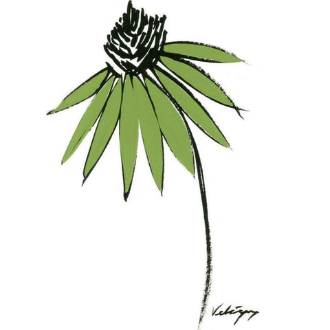 Graphic Cone Flower I Black Modern Wood Framed Art Print with Double Matting by Velasquez, Deborah
