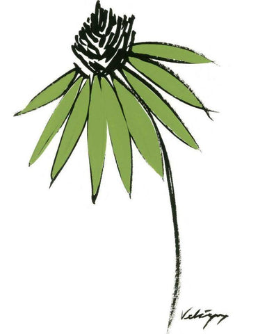 Graphic Cone Flower I White Modern Wood Framed Art Print with Double Matting by Velasquez, Deborah