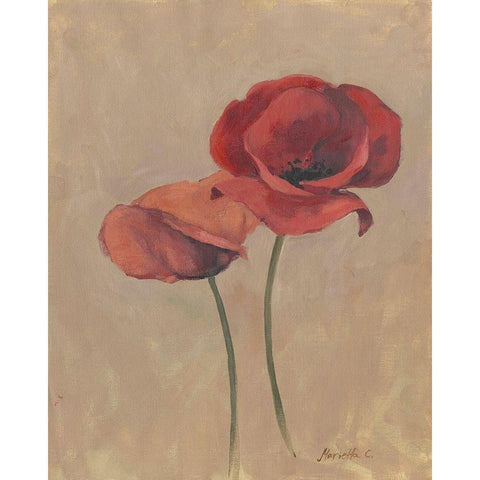 Blooms and Stems II Black Modern Wood Framed Art Print by Cohen, Marietta