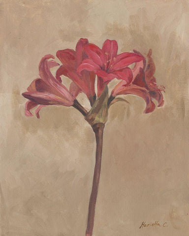 Blooms and Stems III Black Ornate Wood Framed Art Print with Double Matting by Cohen, Marietta